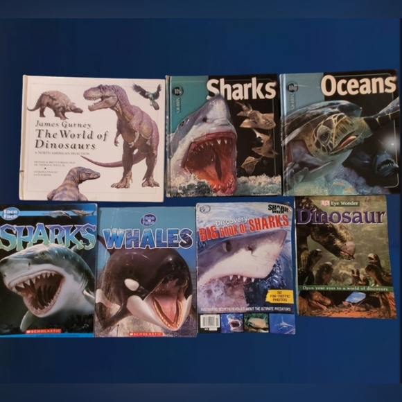 EDUCATIONAL LOT 12 CHILDREN/YOUNG READER BOOKS ~ SHARKS ~ WILDLIFE ~ SCHOLASTIC - Picture 2 of 5